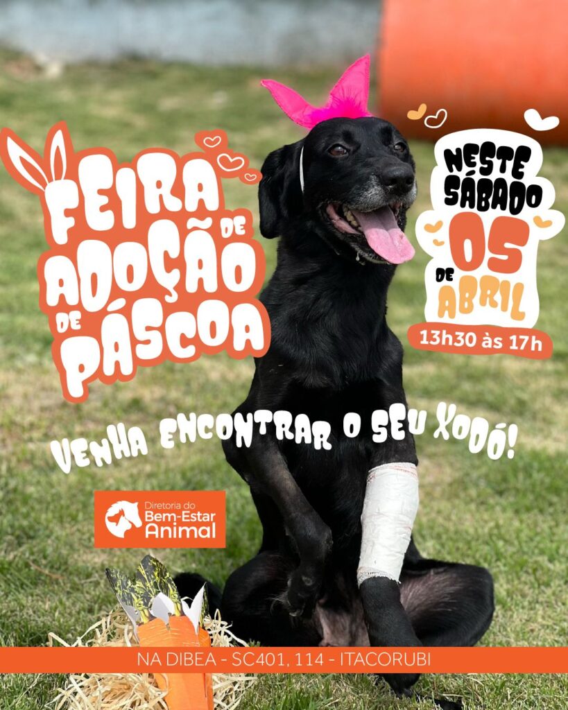 DIBEA - Feira de Adoção Páscoa 2025
